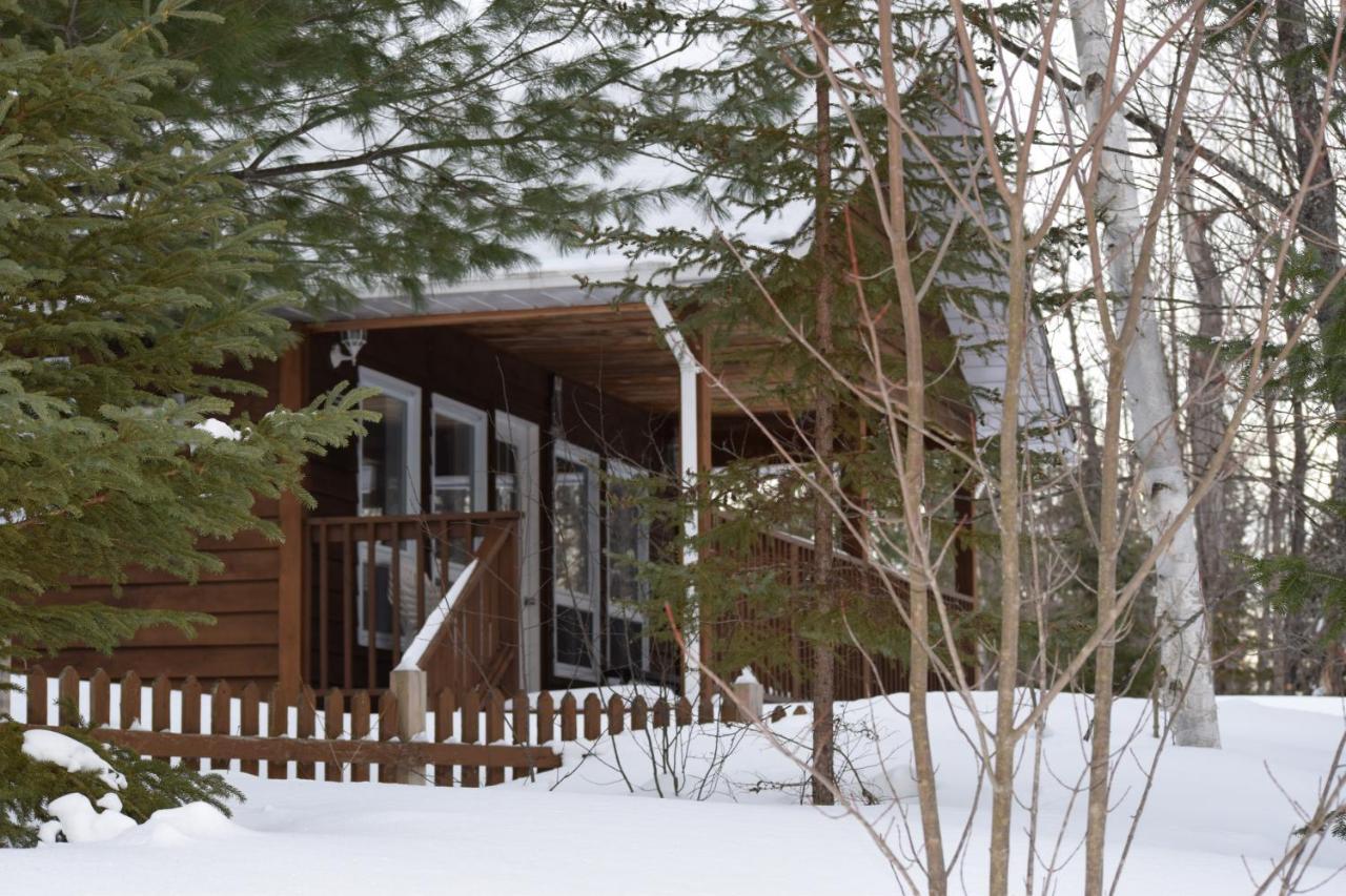 Parkway Cottage Resort And Trading Post Dwight Buitenkant foto