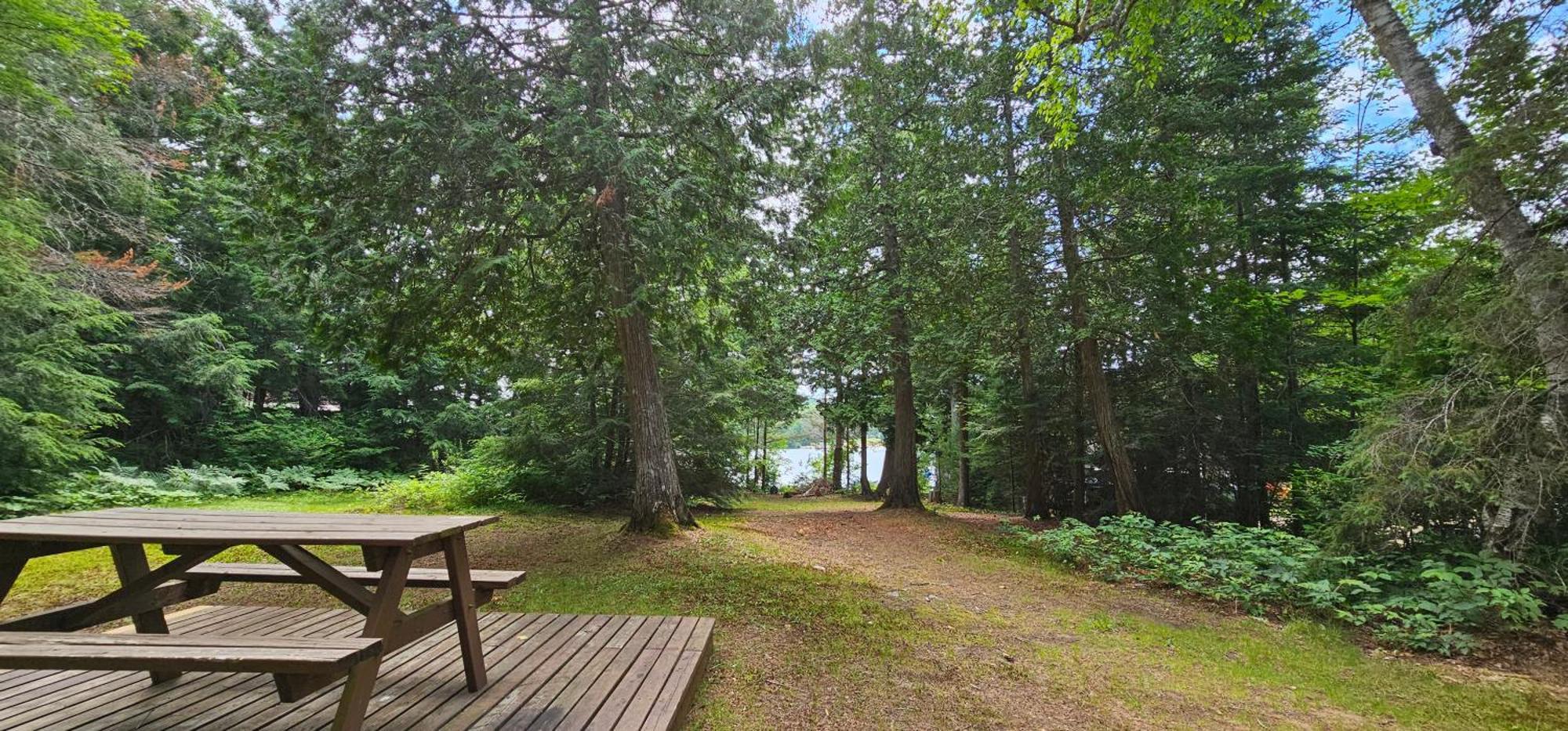 Parkway Cottage Resort And Trading Post Dwight Buitenkant foto
