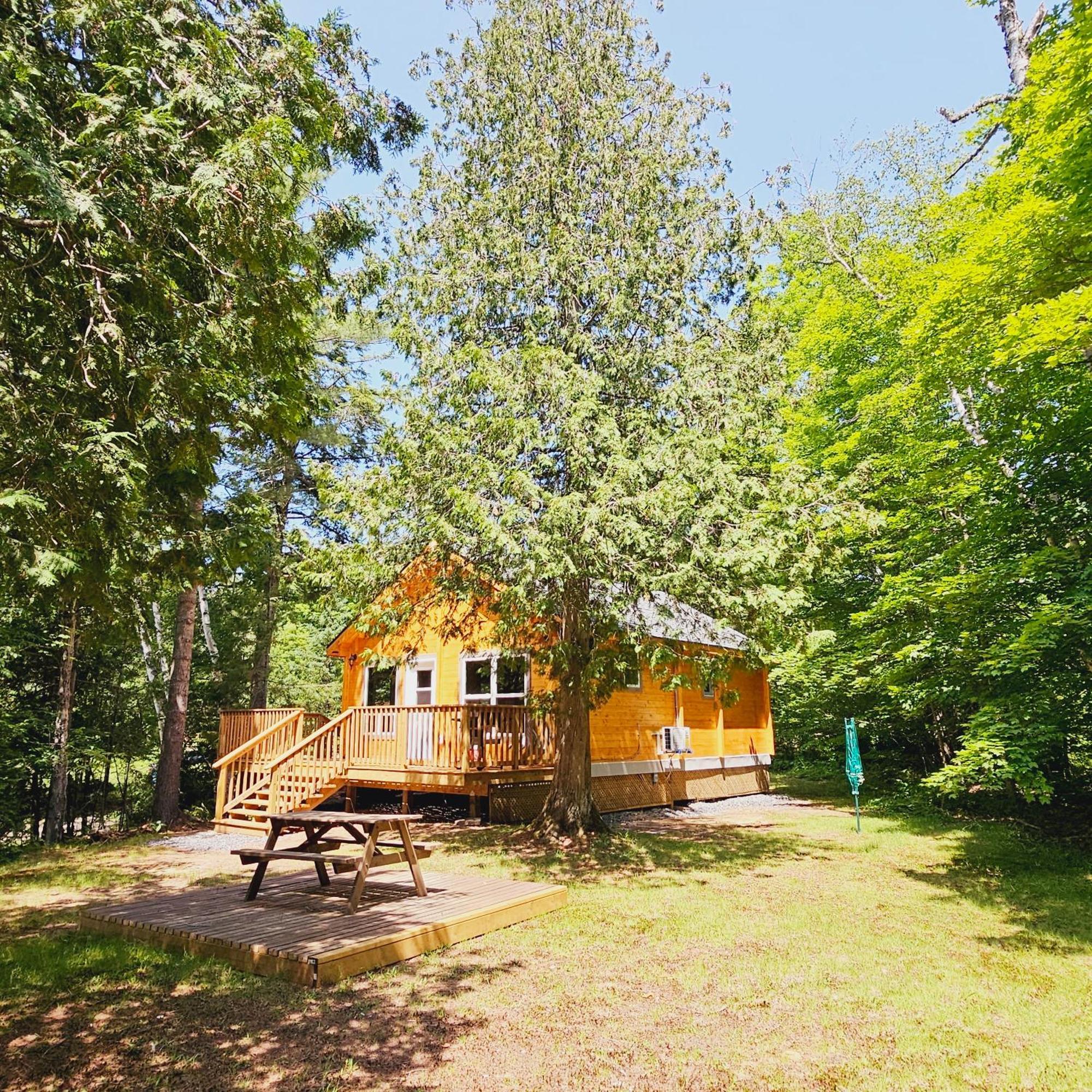 Parkway Cottage Resort And Trading Post Dwight Buitenkant foto