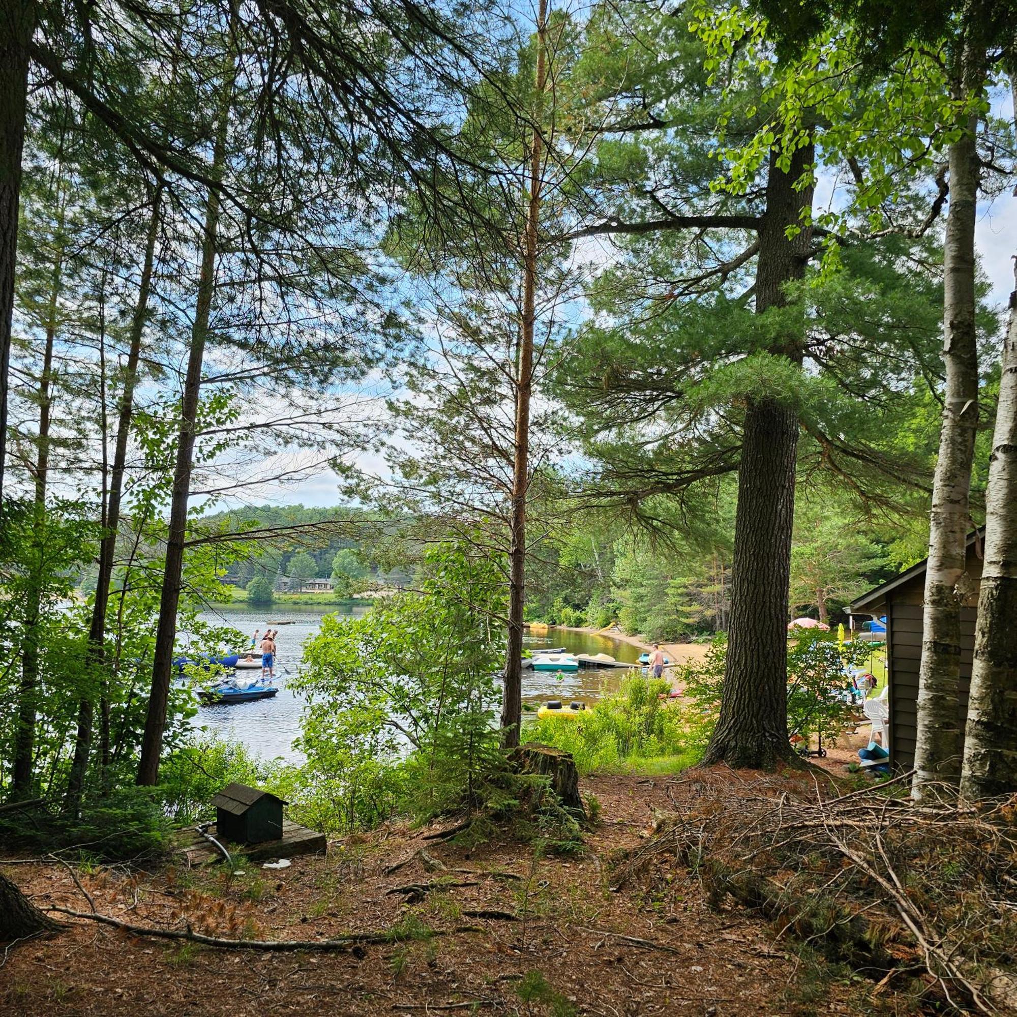 Parkway Cottage Resort And Trading Post Dwight Buitenkant foto